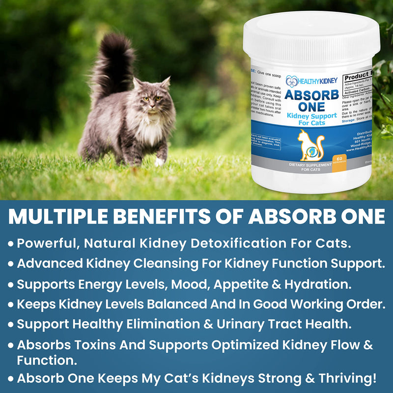 Cat Kidney Support Supplement for Normal Kidney Function in Cats. Natural Feline Kidney Cleanse Take with Any Kidney Cat Diet Food. Vet-Formulated 1/8 TSP a Day 60 Servings: Absorb One