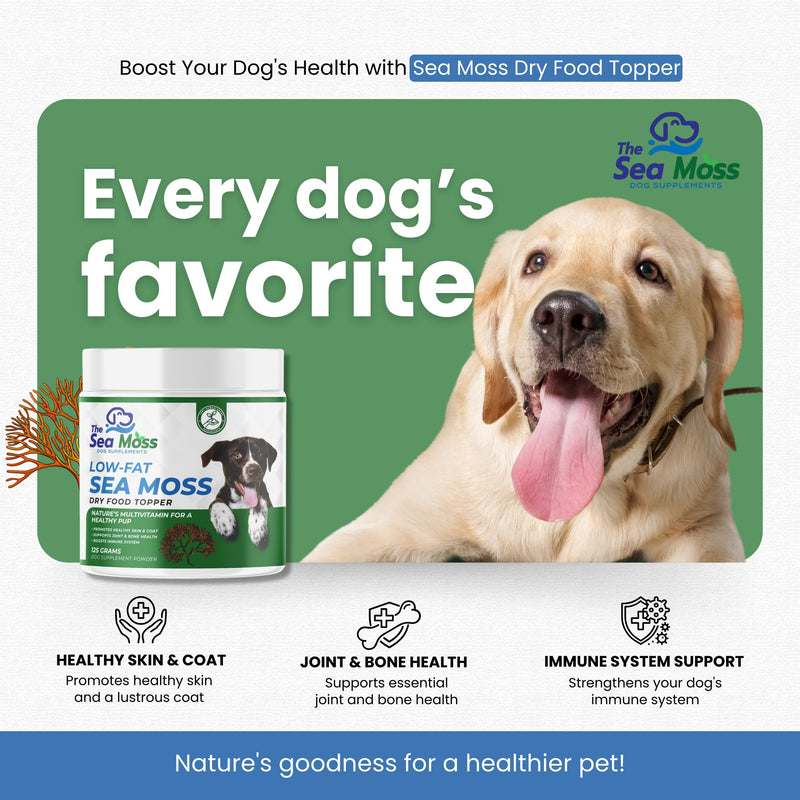 The Sea Moss Low-Fat Dog Supplement Powder, Dry Food Topper - Multivitamin Supports Skin, Coat, Joints, Digestion & Immune Health - Vitamins & Minerals – All Breeds & Sizes - 125 Grams