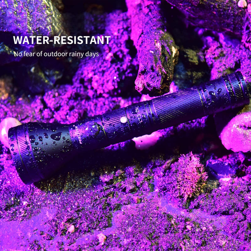 UV Flashlight Black Light, 12 LED Rechargeable 395nm UV Blacklight Pet Urine Detector for Dog/Cat Urine, Dry Stains, Bed Bug, Resin Curing, Scorpions Finder Handheld Black Light - BeesActive Australia
