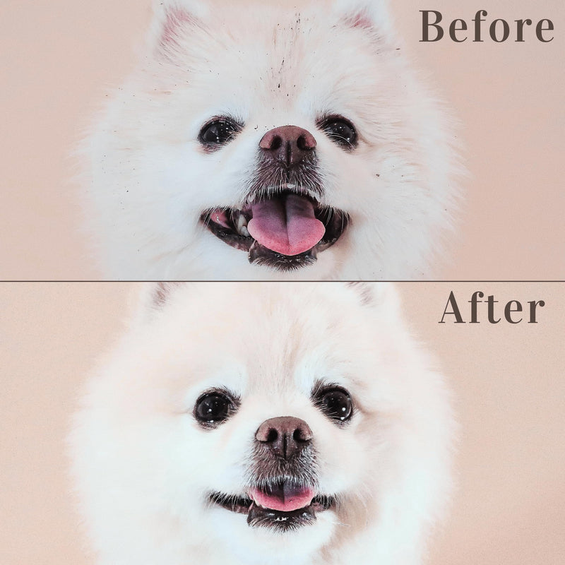 YUKIMI Premium Pet Shampoo with Amino Acids for Dogs & Cats | Dermatologist Certified Hypoallergenic Formula | Hydrating, Strengthening, Shines | Keratin Nourishment for Coat | pH Balanced - 8.5 Fl Oz - BeesActive Australia