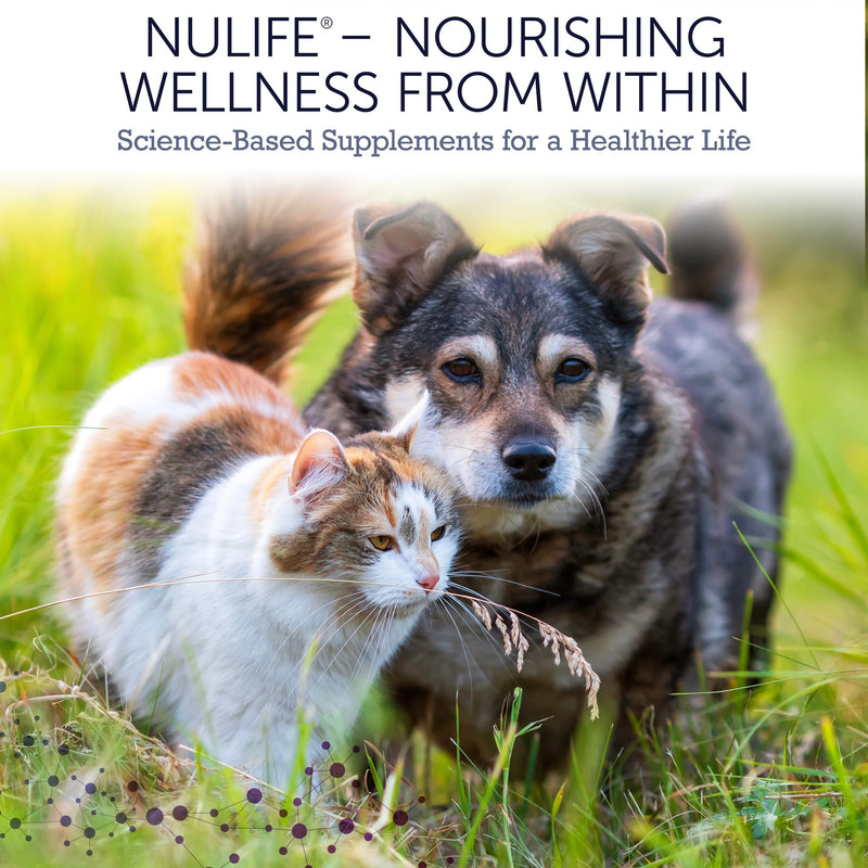NuLife Hepato Support - Liver Support for Dogs and Cats with Silymarin - Contains Milk Thistle for Dogs & Cats and Vitamin B Complex (B1, B2, B6, B12) - Promotes Canine & Feline Hepatic Health - 180ct