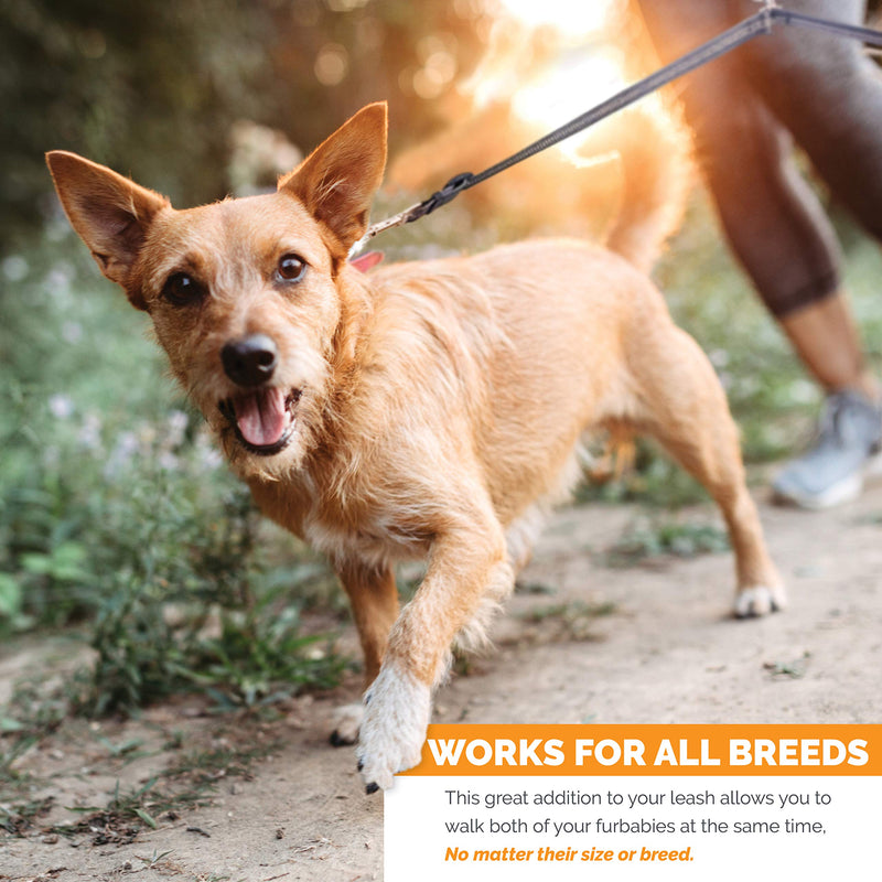 Double Dog Leash with Dual Adjustable Leads, 14 Inch to 24 Inch for Medium and Large Dogs, No Tangle Coupler is Perfect for Walking or Running with Two Dogs, Reflective for Visibility at Night No Handle - BeesActive Australia