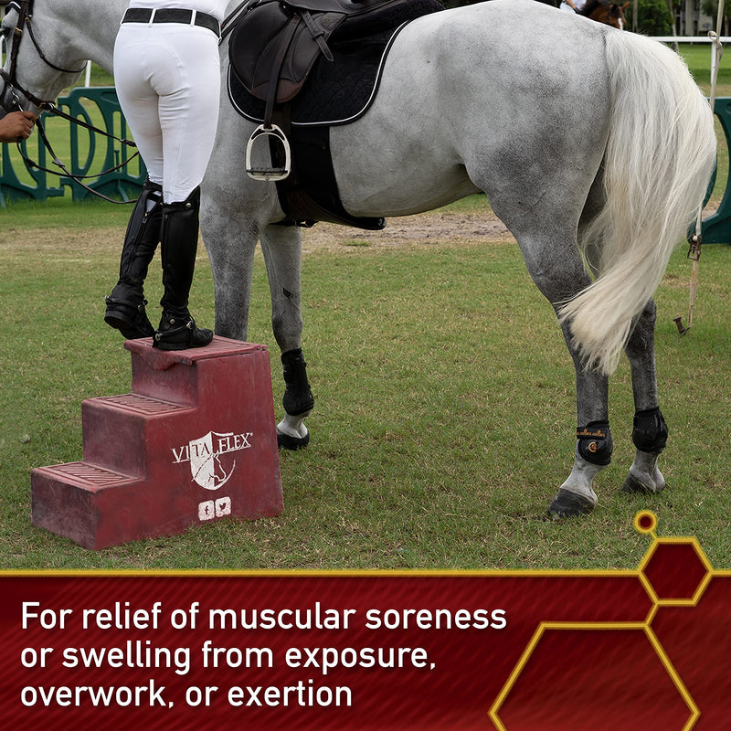 Thermaflex Liniment Gel for Sore Muscles and Joint Relief in Horses 12 Fluid Ounces 12 Ounce Gel - BeesActive Australia