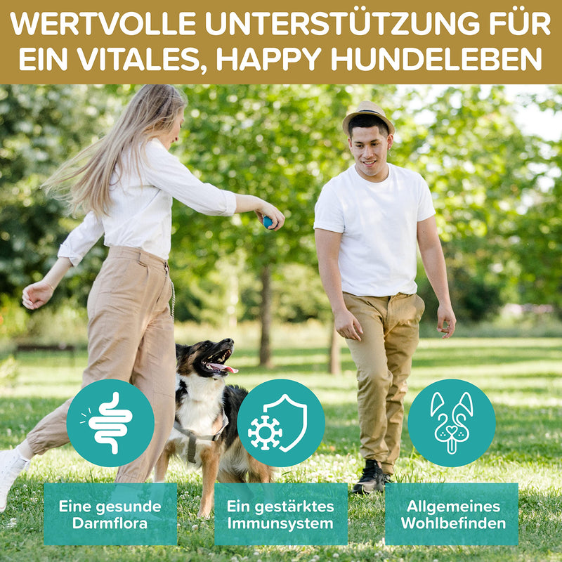 Probiotics intestinal cleansing for dogs - premium quality made in Germany - probiotics for dogs - 120 tablets for improved digestion and immune system - building dog intestinal flora with Natureflow Pets - BeesActive Australia