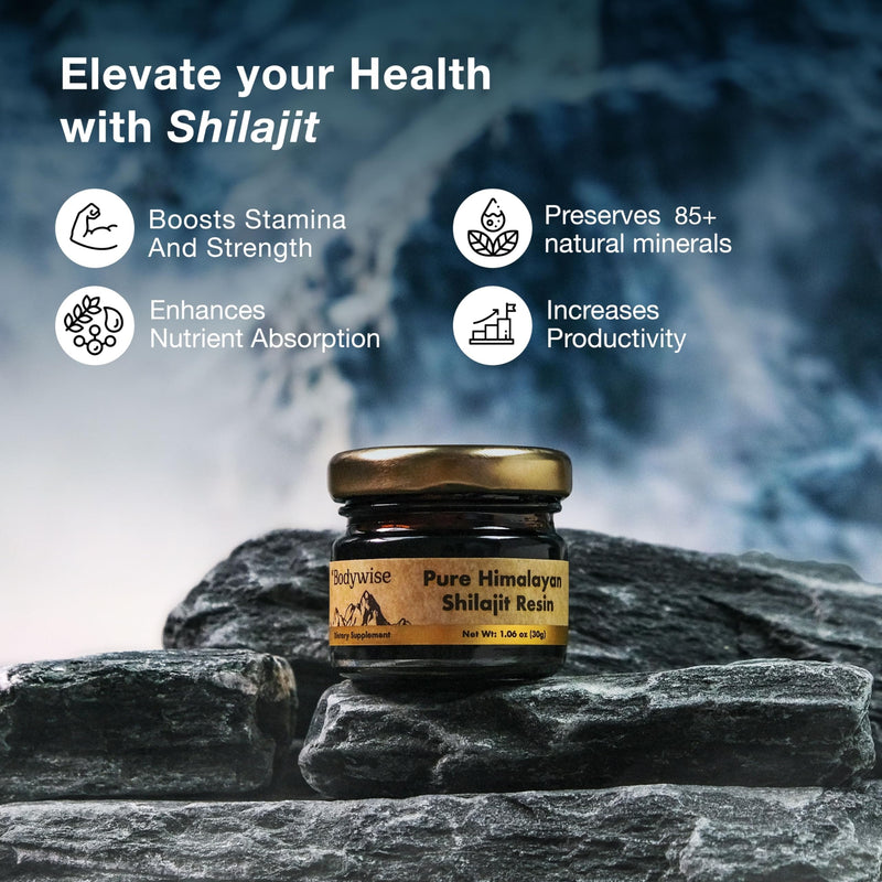 Be Bodywise Pure Himalayan Shilajit Resin I 600 mg I 75%+ Fulvic Acid & 85+ Trace Minerals | Zero Sugar I Lab Tested I Heavy Metal Free I 100% Authentic & Natural, Organic I for Men & Women I 30 gm. 1 Count (Pack of 1) - BeesActive Australia
