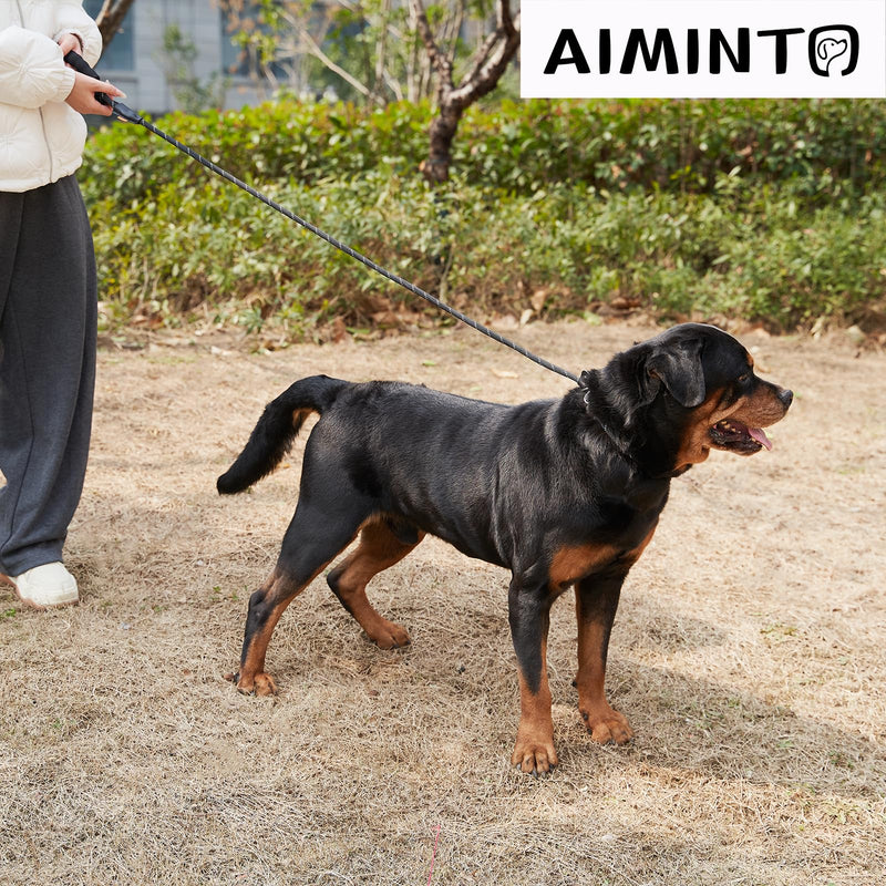 Slip Lead Dog Training Leash, Comfortable Padded Handle, Strong Rope for Large, Medium Dogs, No Pull Leash with Reflective Thread (Black, Small(1/4" - 6FT) Small(1/4" - 6FT） Black - BeesActive Australia