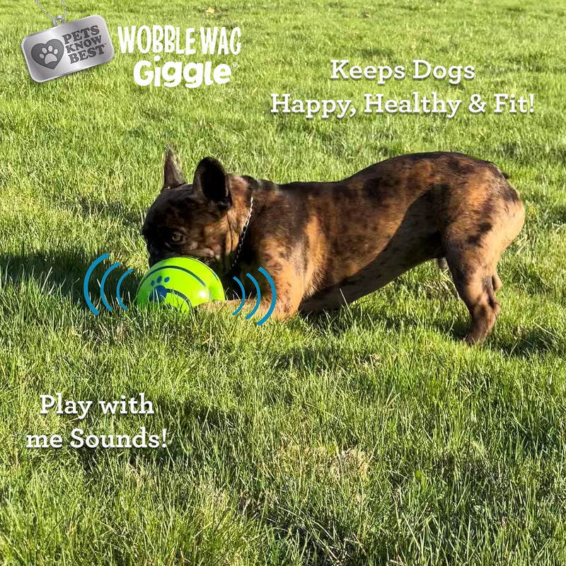 Wobble Wag Giggle Ball, Interactive Dog Toy, Fun Giggle Sounds When Rolled or Shaken, Pets Know Best, As Seen On TV Original - BeesActive Australia