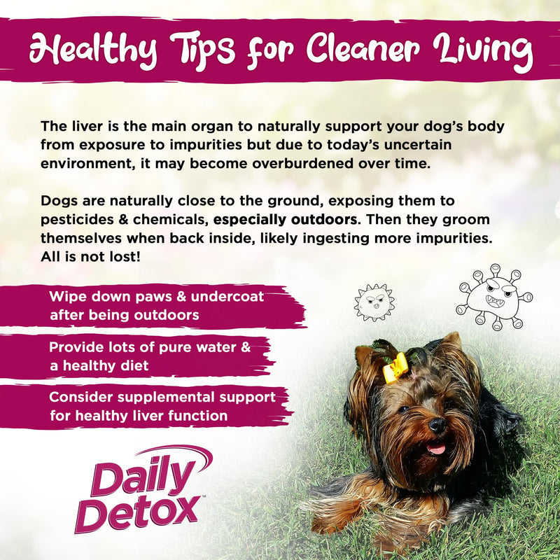 Vital Planet - Daily Detox for Dogs with MSM, Milk Thistle, Spirulina, and Turmeric, Supports The Immune System and Natural Cleansing of The Liver - 60 Beef Flavored Chewable Tablets - PawsPlanet Australia