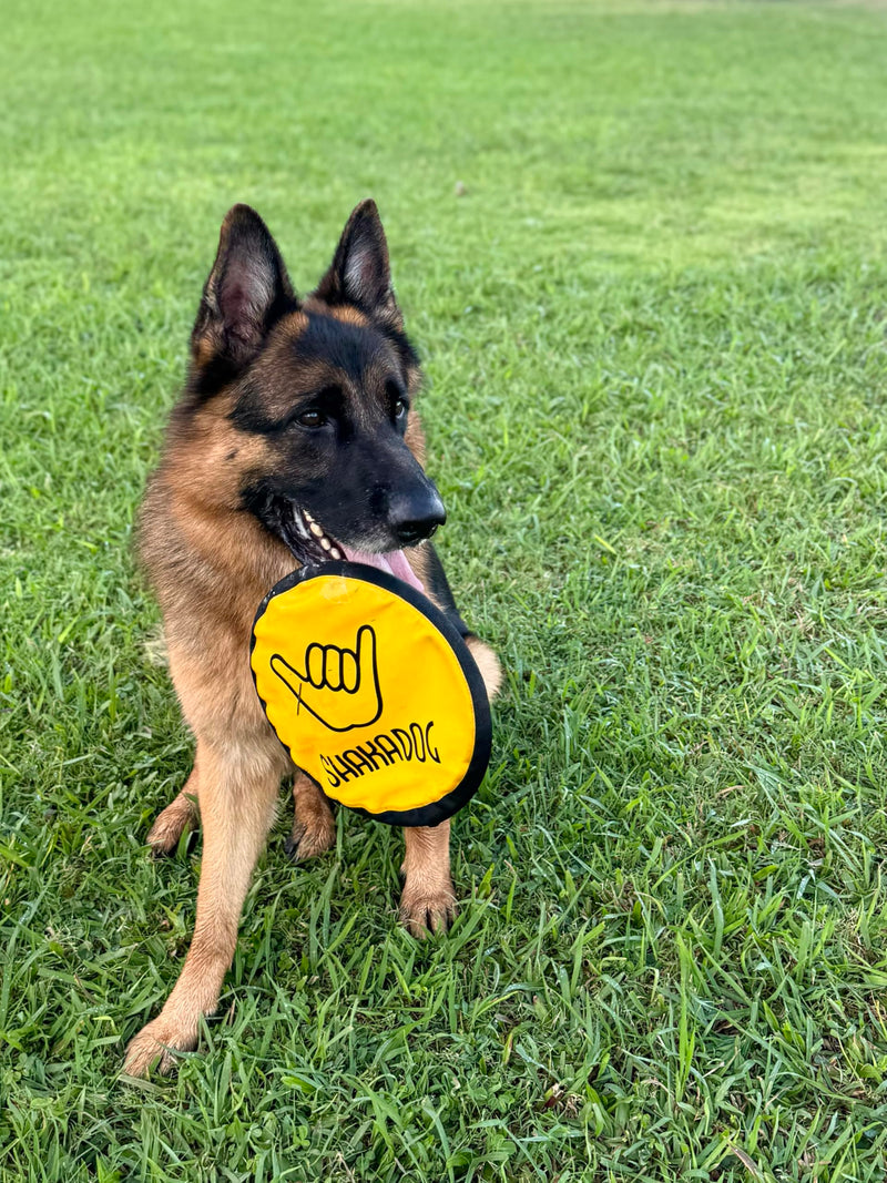 ZippyToss Flying Interactive 9" Dog Disc and Fetch Toy – Floats in Water & Safe on Teeth (Multi-Color, 5 Pack) Multi-Color - BeesActive Australia