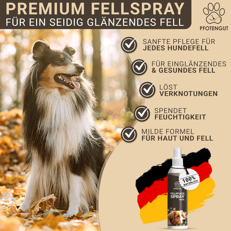 PFOTENGUT® Fur Care Spray Dog [250 ml] - care and detangling spray developed by veterinarians for silky, shiny fur [suitable for all dogs] - with jojoba oil and chamomile 250 ml (pack of 1) - BeesActive Australia