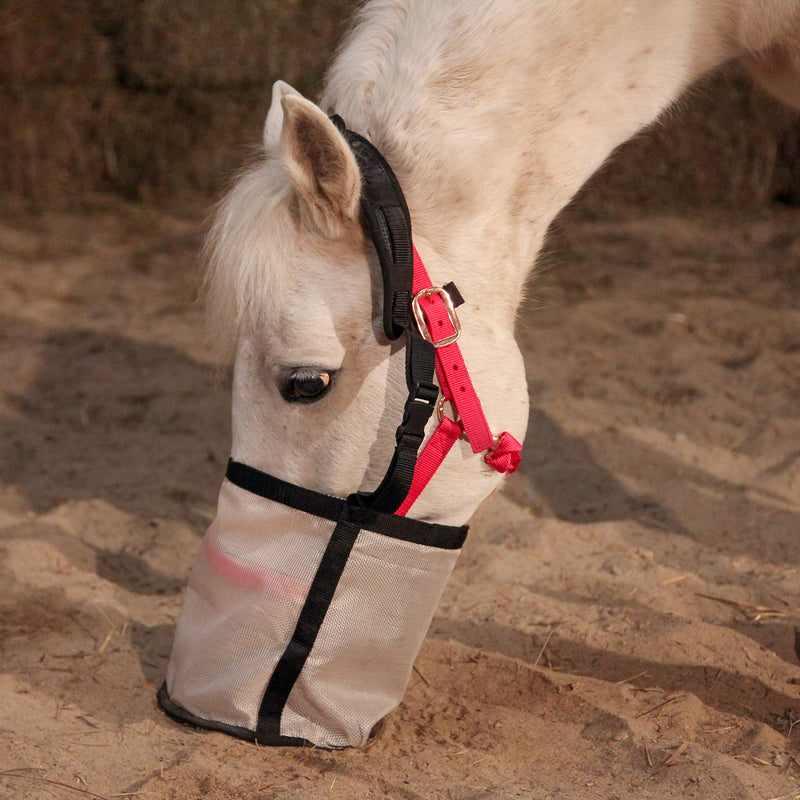 Majestic Ally Horse Feed Bag, Heavy Duty Nylon Mesh Grain Feed Bag, Adjustable Strap with Durable Snap and Elastic Straps, Comfort Neck Pad and Nose Pad- Large (Draft, Beige) Draft - BeesActive Australia