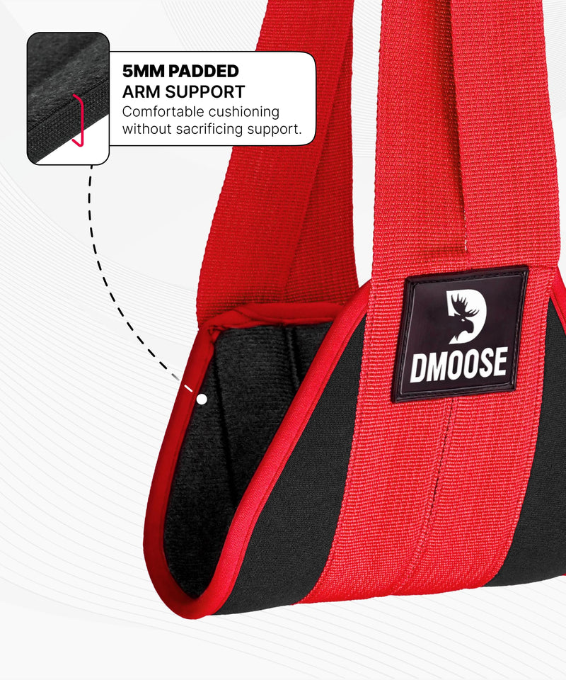DMoose Fitness Hanging Ab Straps for Pull Up Bar & Core Strength Training - Soft Padded Exercise Straps for Ab Swing & Leg Raises, Hang Bar Strap with 2 Steel Carabiners - Abs Equipment for Home & Gym Devil