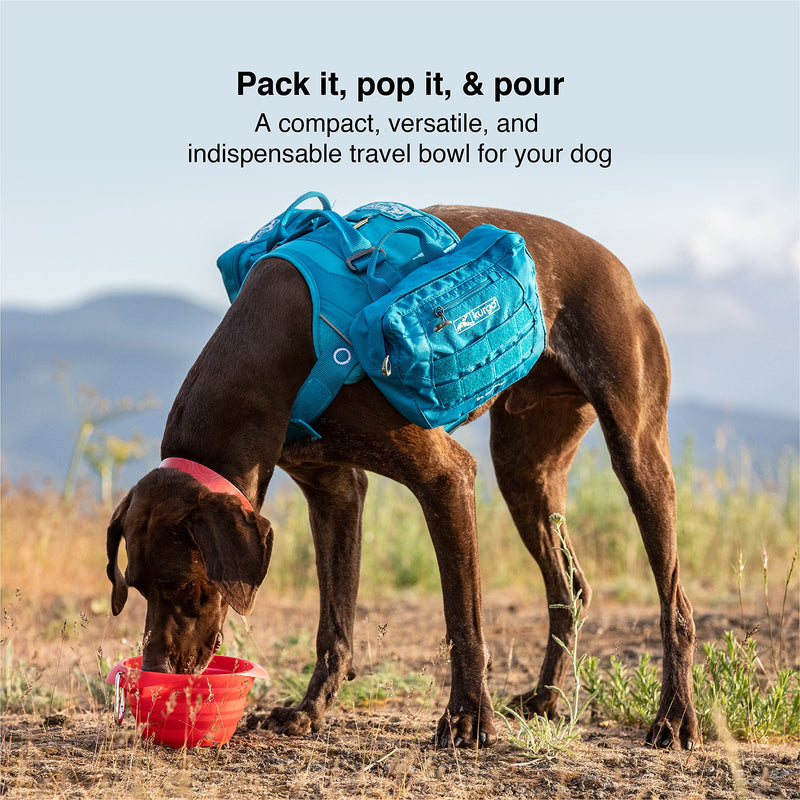 Kurgo Collaps-A-Bowl for Dogs, Collapsible Travel Dog Bowl, Pet Food & Hiking Water Bowl, Food Grade Bowl for Dogs, Travel Accessories for Pets, includes Carabiner (24 oz, Orange) Regular - BeesActive Australia