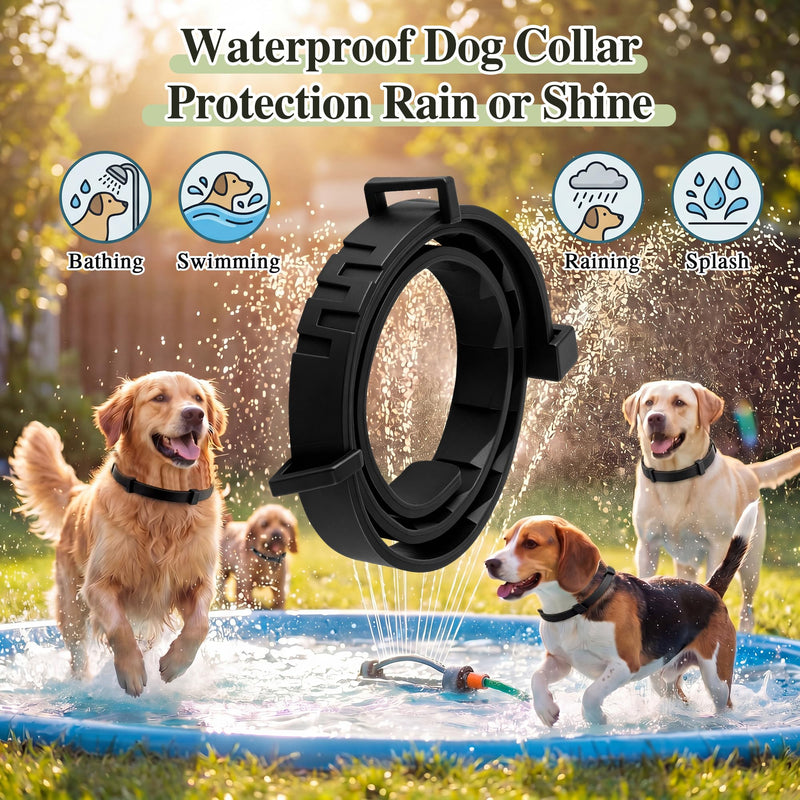 Flea and Tick Collar for Dogs with 5 FT Leash, Essential Oils Collars, Rope Dog Leash with Padded Handle, Adjustable Size Dog Walking Set, Flea and Tick Prevention for Dogs, Puppies