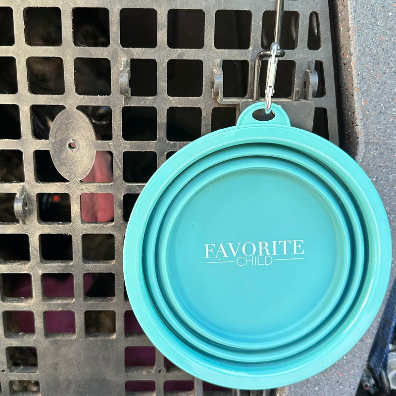 SparkDog Collar Collapsible Silicone Travel Pet Bowl -Premium Quality, Food Grade Silicone, Reinforced Rim, Large for Travel, Hiking, Adventure, Dog or Cat (Aqua-Favorite Child, 34oz/1L) Aqua-"Favorite Child" - BeesActive Australia