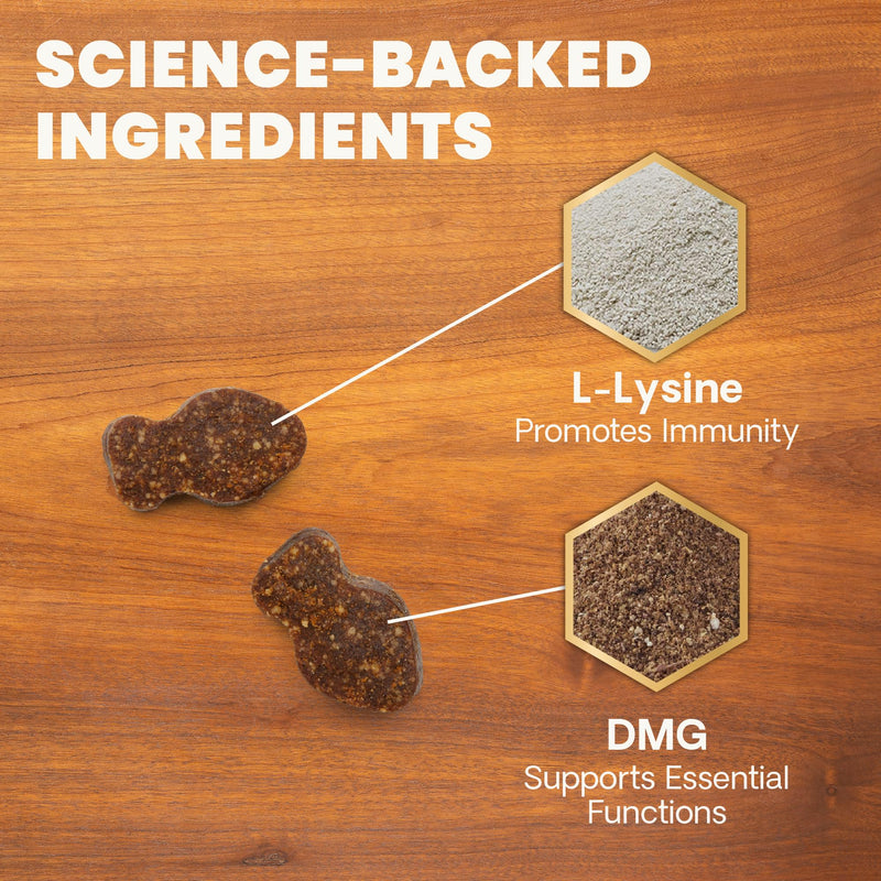 VetriScience Lysine Immunity Health Chews, 250 mg Lysine Plus Immune Supplement for Cats and Kittens with Allergies, Sneezing, Runny Nose and Watery Eyes, Chicken, 3 Pack