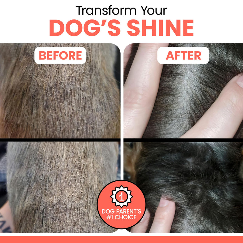 Wild Alaskan Salmon Oil for Dogs & Cats 16 oz - Omega 3 Dog Fish Oil, EPA DHA for Skin & Coat, Itch Relief, Joint and Heart Health - MSC Certified, Made in USA, Pump Bottle - Chew + Heal 16oz