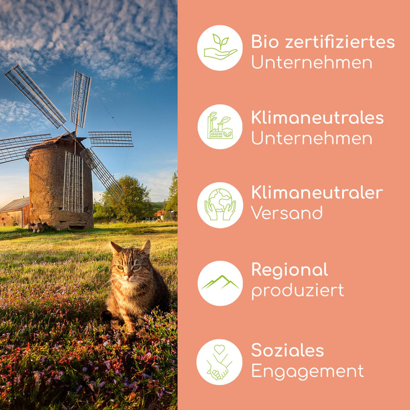 Salmon oil for cats with Omega 3 & 6 I 100ml Norwegian, natural salmon oil from Atlantic sea salmon I High-dose supplement for cats 100ml cat - BeesActive Australia