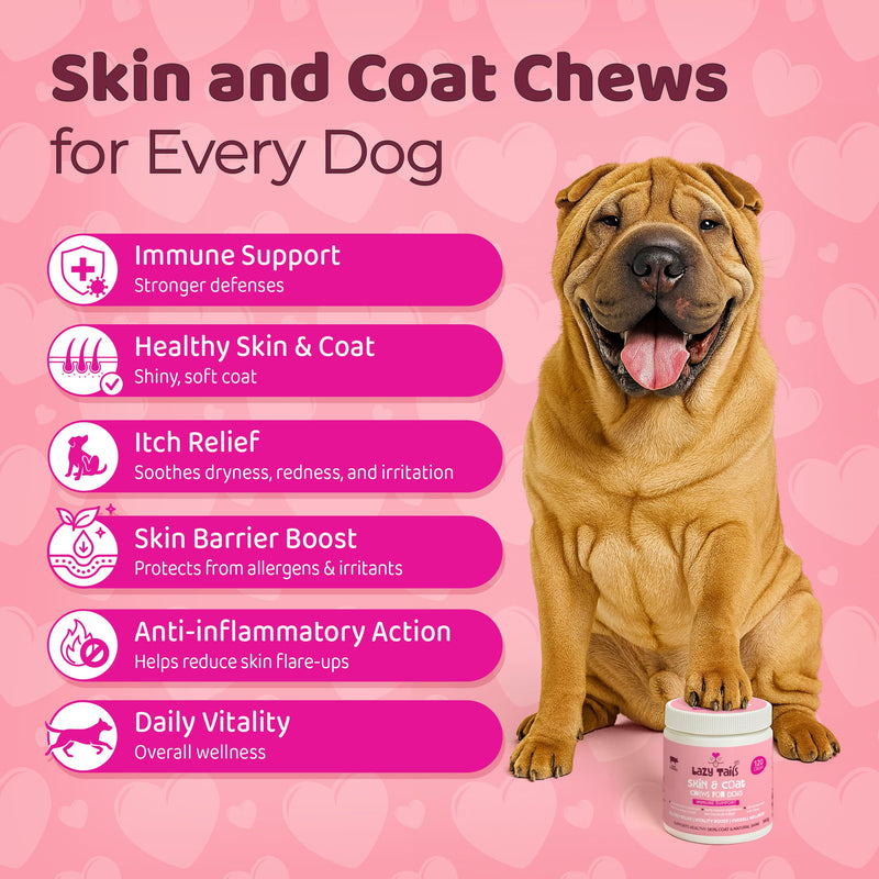 Skin & Coat Dogs Itchy Skin Chews for Dogs – 120 Soft Dog Chews – Helps Maintain Healthy Coat, Shine & Overall Skin Wellness – Natural Pork Flavor – Dog Treats for All Breeds & Sizes Skin & Coat