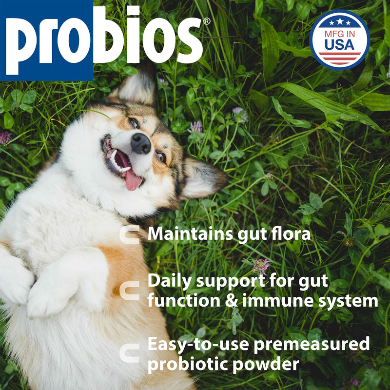 Probios Intelliflora for Dogs, Daily Probiotic Powder with Prebiotics, 200 Million CFU/g, Supports Gut Health Digestion and Immune Health, Chicken Liver, 30 Sachets (Pack of 2) 30 Count (Pack of 2)