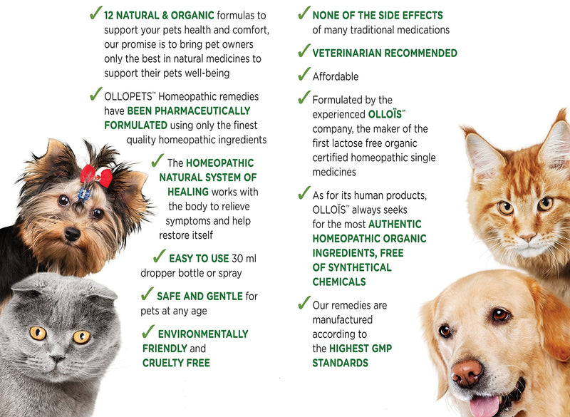OLLOPETS Eczema, Organic Homeopathic Pet Remedy for All Pets, 1 Fl Ounce