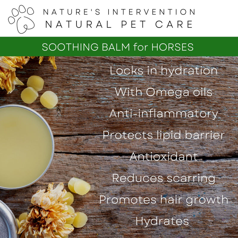 NATURE'S INTERVENTION 100% Natural Soothing Balm for Horses – 100ml – Beeswax, Shea & Cocoa Butter Barrier Balm with Neem & Tea Tree – Weather Protection for Sensitive Equine Skin – Aluminium Jar