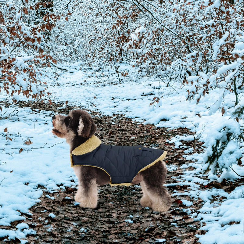 Queenmore Warm Dog Coat, Cold Weather Puffer Dog Coat, Quilting Winter Dog Jacket Ultra Thick Plush Lining with Storage Pockets (Green, Small) Green - BeesActive Australia
