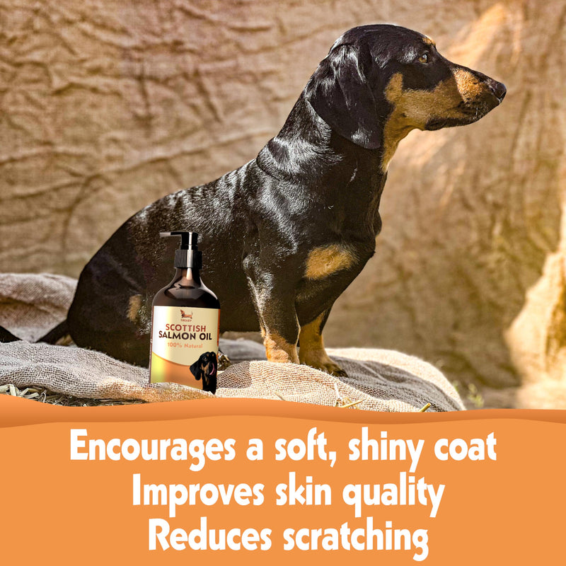 Scottish Salmon Oil for Dogs & Cats 500ml | Natural Omega 3 6 9 Fish Oil Supplement | Grain-Free Skin & Coat Support | Promotes Joint, Heart, Brain & Immune Health | Easy Pump Bottle