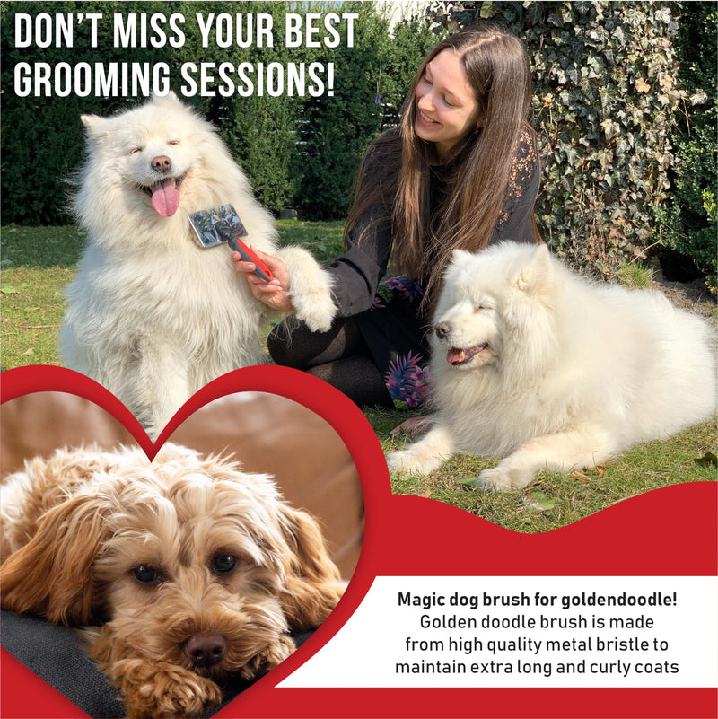 Slicker Brush for Dogs With Coated Tips - Extra Long Pins Removes Tangles - Doodle and Goldendoodle Brush Goes Deep Into Undercoat - Golden Retriever Brush for Shedding - Cepillo Para Perros 1 Count (Pack of 1) - BeesActive Australia