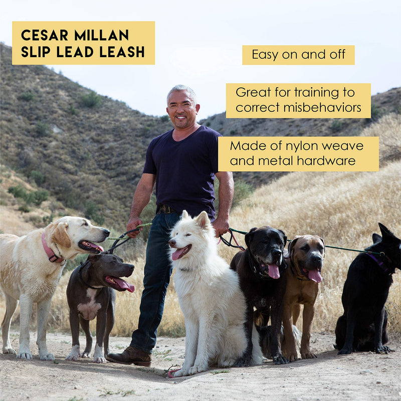 Cesar Millan Slip Lead Leash™ - 2-in-1 Slip Collar Dog Training Lead & Collar | Heavy Duty Durable Weatherproof Rope Leash, No Pull Training | length 4ft diameter 4/10”(Regular, Black) Regular - BeesActive Australia