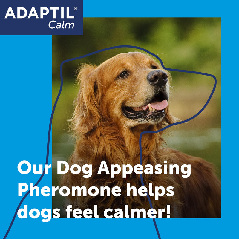 30 Day Refill For Adaptil Calm Home Diffuser For Dogs | 1 Refill For Adaptil Dog Calming Plug In Pheromone Diffuser To Help Reduce Anxiety And Stress In Pet Dogs | Diffuser Helps Dogs Stay Calmer 30 day refill pack