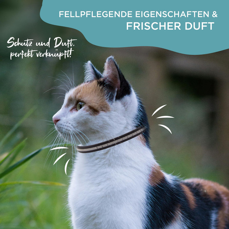 OptiPet x1 pest collar for cats | 4 months protection against fleas, ticks, mosquitoes, mites - reflective, for cats from 12 weeks | Flea collar cat/tick collar for tick protection cat 1 piece - BeesActive Australia