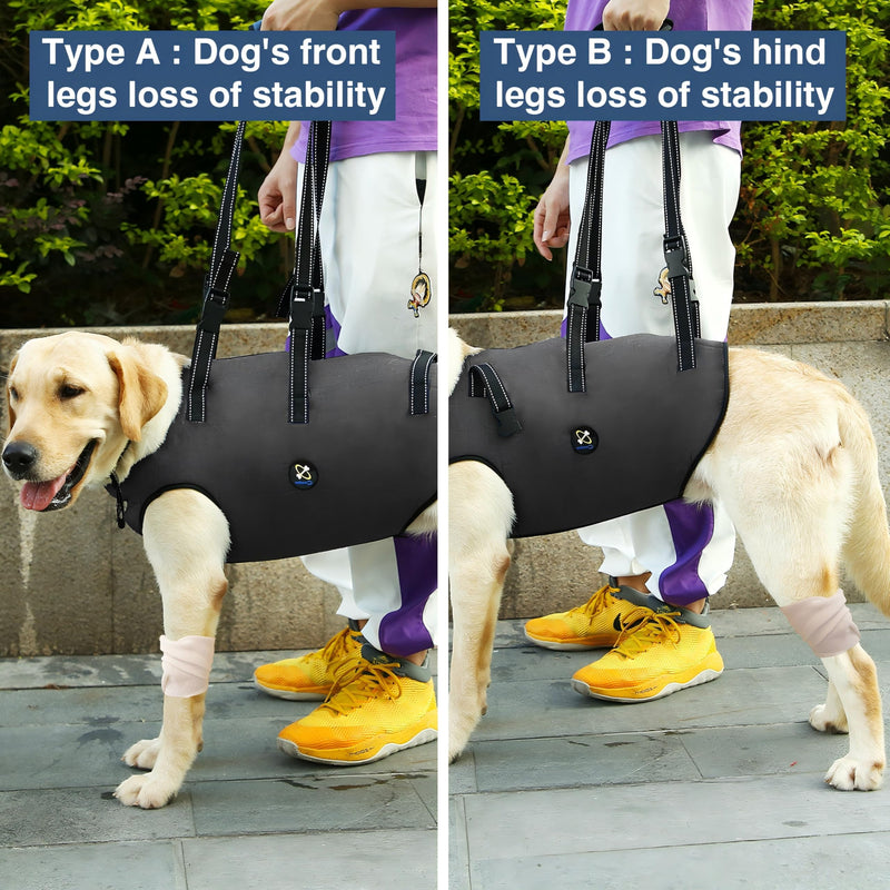 Coodeo Dog Lift Harness, Pet Support & Rehabilitation Sling Lift Adjustable Padded Breathable Straps for Old, Disabled, Joint Injuries, Arthritis, Loss of Stability Dogs Walk (Grey, M) Medium Grey - BeesActive Australia
