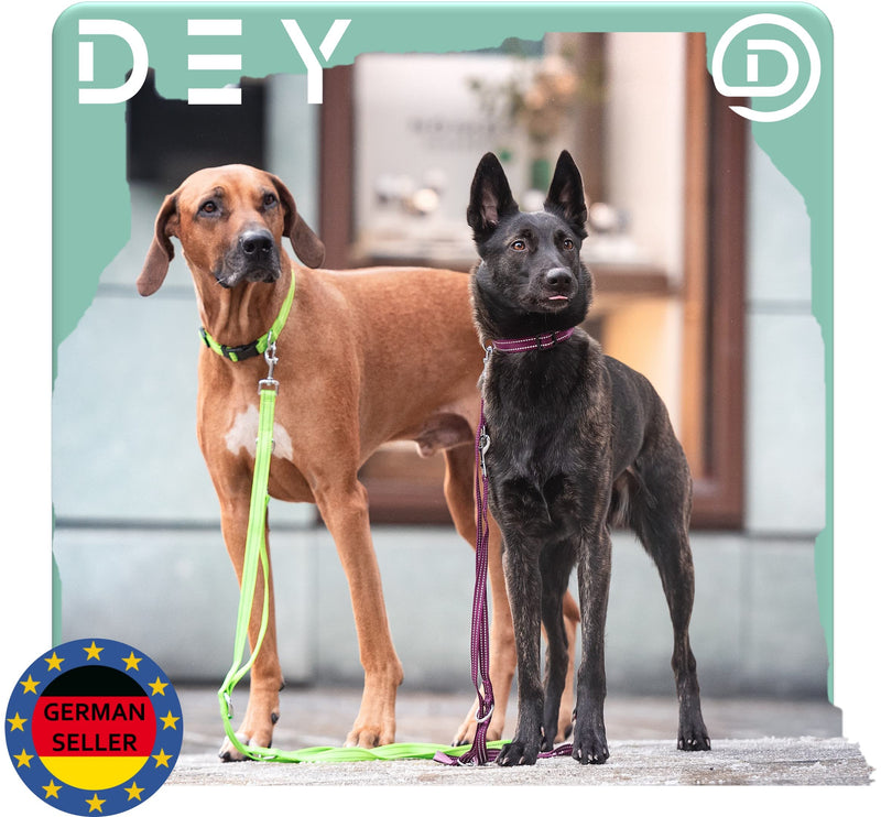 DEY - Premium dog leash nylon 2m | Reflective | 3-way adjustable | for small, medium and large dogs | many colors | double leash dog | Towline | Lead leash | Puppy leash | Red, XS [XS] - 1.0 x 200 cm Red-Reflective - BeesActive Australia