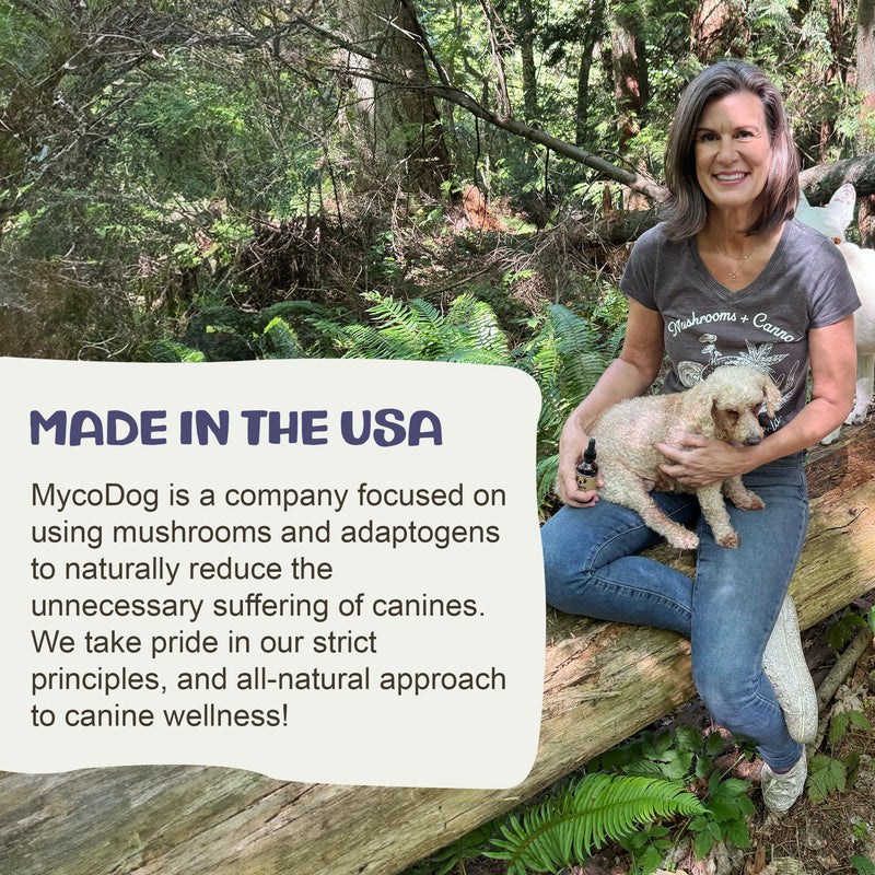 MycoDog Clarity - Cognitive Support Mushroom Supplement for Dogs - Brain Health, Memory & Focus Support with Adaptogens for Aging Dogs
