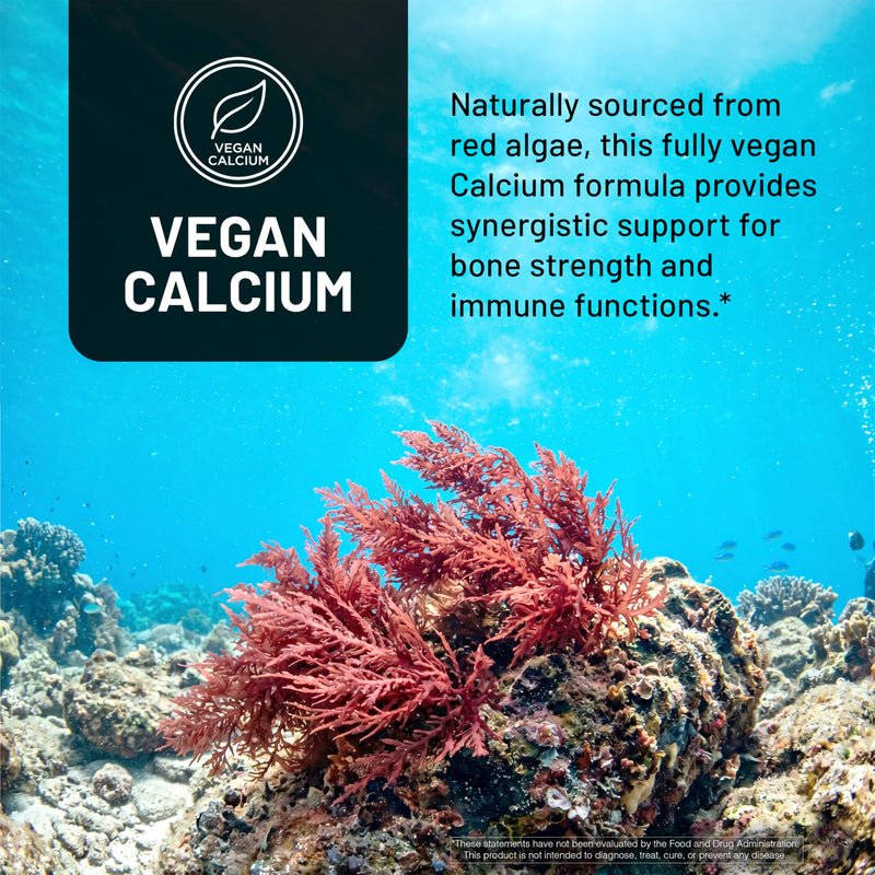 NatureWise Algae Calcium Plus - with Aquamin Calcium, Magnesium, Vitamin C, D3, and K2 - Vegan Algae Calcium Supplements for Women & Men - Bone Health Support - Non-GMO - 120 Capsules[60-Day Supply]