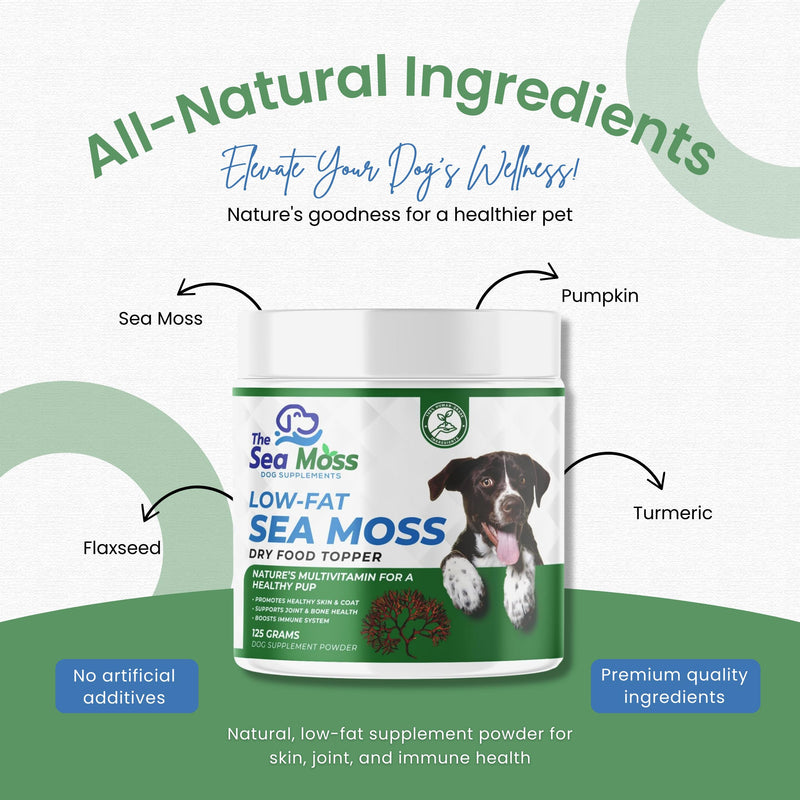 The Sea Moss Low-Fat Dog Supplement Powder, Dry Food Topper - Multivitamin Supports Skin, Coat, Joints, Digestion & Immune Health - Vitamins & Minerals – All Breeds & Sizes - 125 Grams