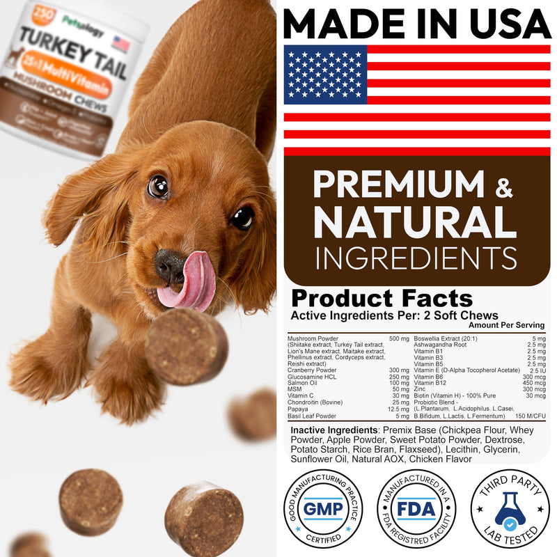 Turkey Tail Mushroom for Dogs - 250 Chews - Lion’s Mane - Shiitake - Reishi - Buddy Immune Support Guard - Lipoma Mushroom Supplement for Dogs Lumps and Bumps Glucosamine, Health Vitamins Multivitamin