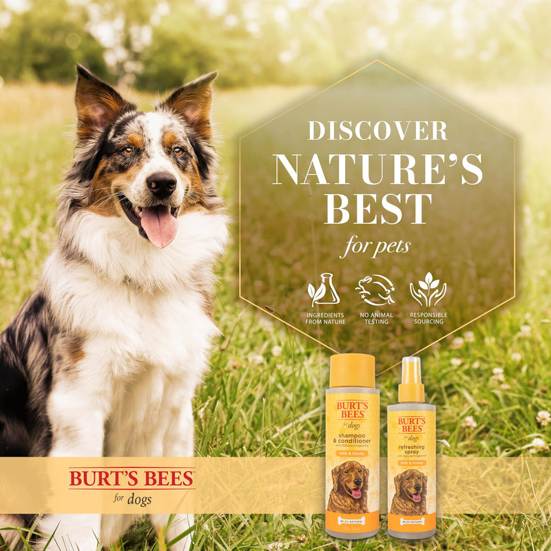 Burt's Bees for Pets Milk and Honey Shampoo and Conditioner for Dogs, Naturally Derived Ingredients, Cruelty Free, Formulated without Sulfates and Parabens, pH Balanced for Dogs, 12 Fl Oz Milk & Honey 12 Fl Oz (Pack of 1) - BeesActive Australia