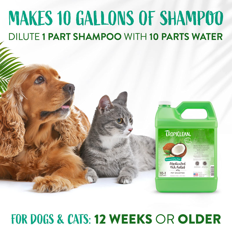 TropiClean Shampoo for Animals - Medicated Itch Relief - Exfoliates, Moisturizes & Soothes Dry, Itchy Skin & Coat I For Dogs & Cats I Parabens, Color and Soap Free - Oatmeal & Tea Tree, 3.78 L Oatmeal Medicated 3.78 liters of oats with medicine - BeesActive Australia