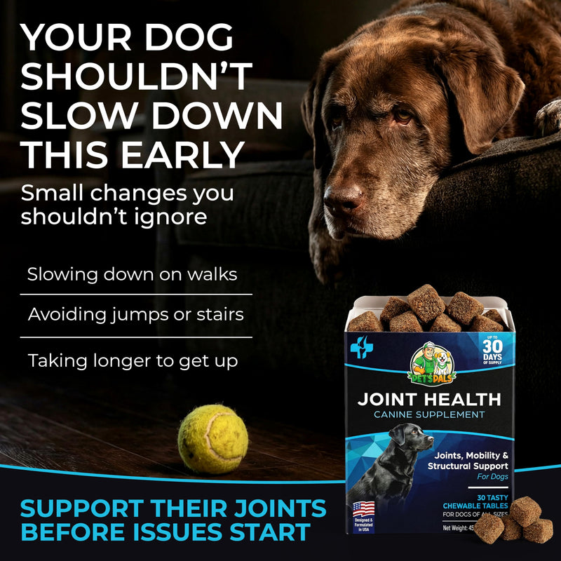 PET'S PALS Dogs Joint Health Supplement - Glucosamine, Chondroitin & MSM - Supports Healthy Joints - Chewable Tablets for Dogs - 30 Soft Chews