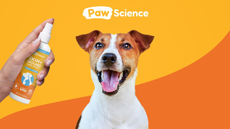 Paw Science Skin & Wound Care Spray for Dogs & Cats – Lick-Safe Antiseptic Healing Aid, Itch Relief & Skin Repair Treatment for Hot Spots, Rashes, Cuts, Burns, & Irritation