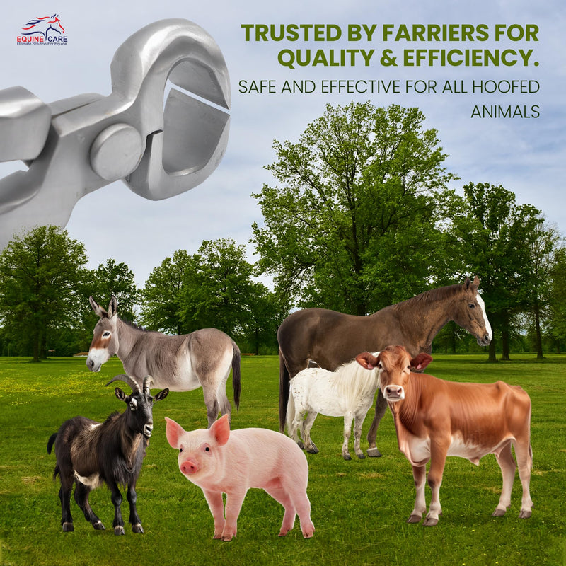 Premium Farrier Hoof Nipper - Chrome Vanadium Steel, Spring-Loaded for Smooth Trimming - Ideal for Horses, Ponies, Goats, and Cows, 10 Inches. - BeesActive Australia