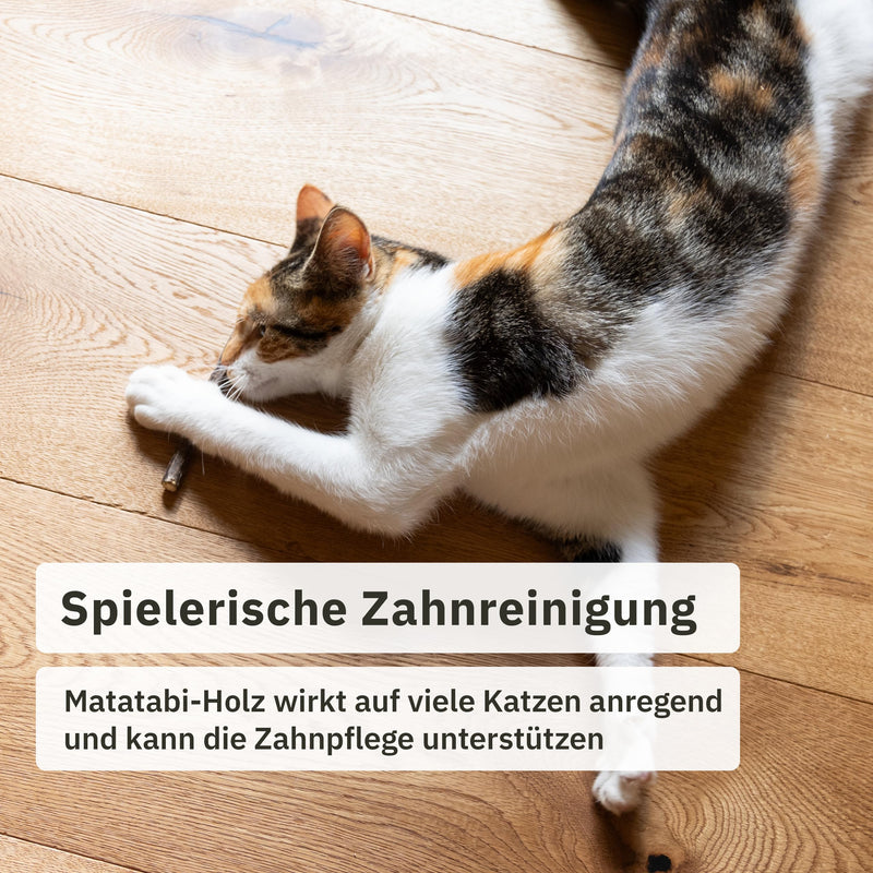 Matatabi Stick Cat: 8 Matatabi Sticks for Cats Dental Care - Wooden Cat Toys for Bad Breath - Cat Chew Toys - Natural Toys for Cats - Cat Sticks - Inovida Cat Accessories - BeesActive Australia