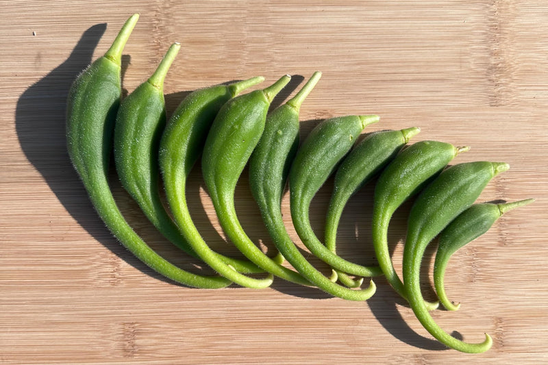 Plant Good Seed Devil's Claw/Unicorn Plant Seeds for Planting: Basket Weaving Carniverous Plant, Purple Flowers - 20 Seed Packet - BeesActive Australia
