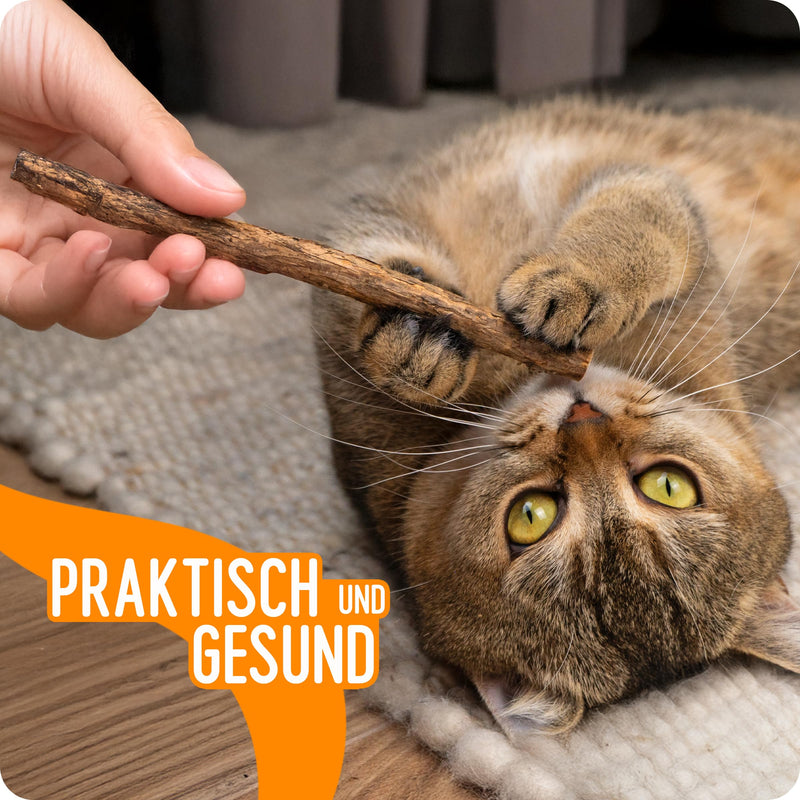 PETLIMA® | 5 x Matatabi Sticks - Natural dental care for cats, reduces plaque and tartar, cat toy with essential oils, airtight packaging for long-lasting freshness - BeesActive Australia