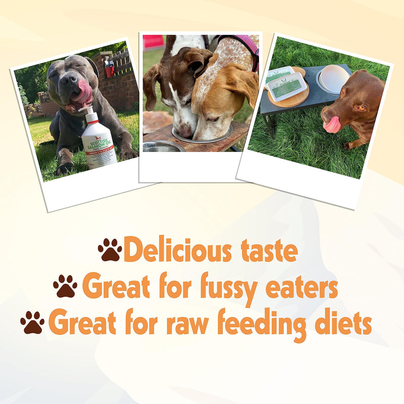 Scottish Salmon Oil for Dogs & Cats 500ml | Natural Omega 3 6 9 Fish Oil Supplement | Grain-Free Skin & Coat Support | Promotes Joint, Heart, Brain & Immune Health | Easy Pump Bottle