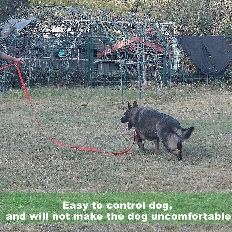 Strong Durable Nylon Dog Training Leash, 1 Inch Wide Traction Rope, 6 ft 10ft 15ft Long, for Small and Medium Dog (Black, 10 Feet) Black - BeesActive Australia