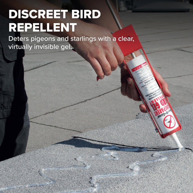 Bird B Gone Transparent Bird Gel - 10oz Tube - Sticky Bird Repellent for Outdoor Use - Deter Pigeons & Starlings - Easy Application with Caulking Gun - Bird Deterrent for Ledges, Pipes & Signs 1 Pack