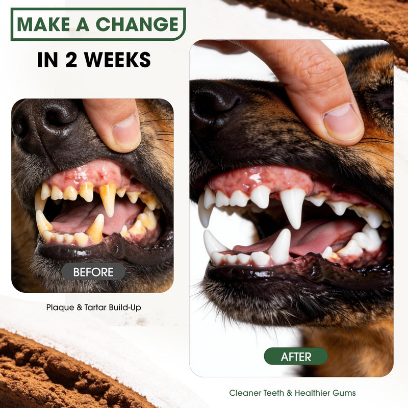 Dog Teeth Cleaning Powder, Dental Powder for Dogs Teeth Cleaning More Easy Plaque Off, Natural Postbiotic Supplement Sprinkle on Food, Targets Tartar & Bad Breath No Brushing for Dogs Daily Oral Care